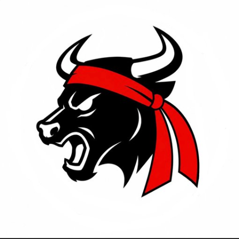 The Gamestop Bull