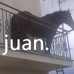 juan价格预测