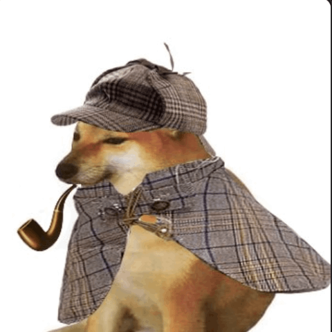 PIPEDOG/PKR：pipedog (PIPEDOG) 兑 巴基斯坦卢比 (PKR) <br />转换器 & 计算器