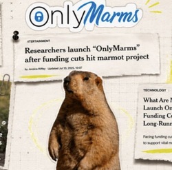 OnlyMarms价格预测