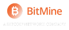 BitMine Immersion Technologies, Inc.