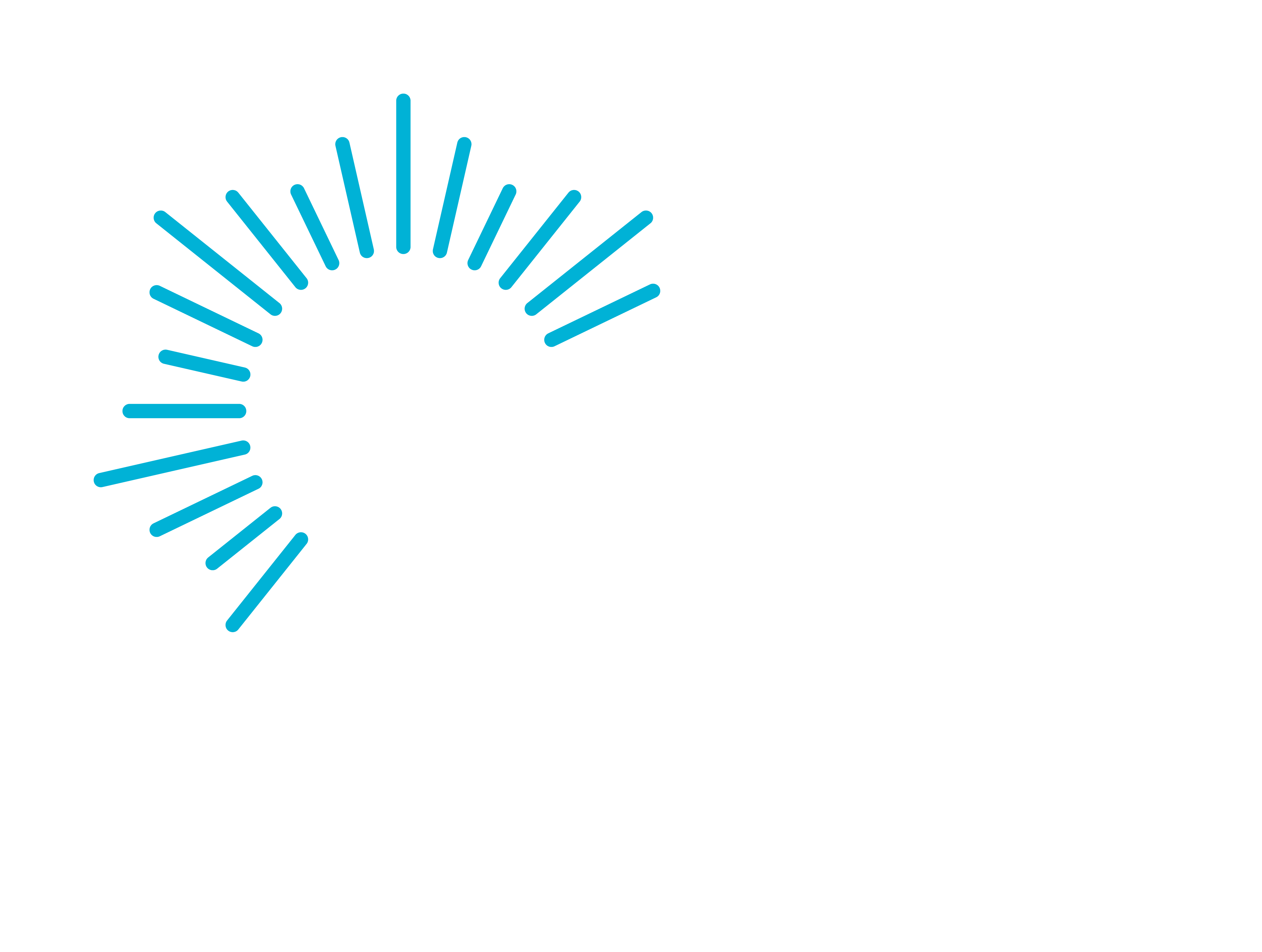 FBRT
