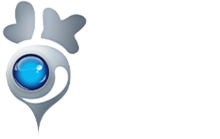 LOBO TECHNOLOGIES LTD