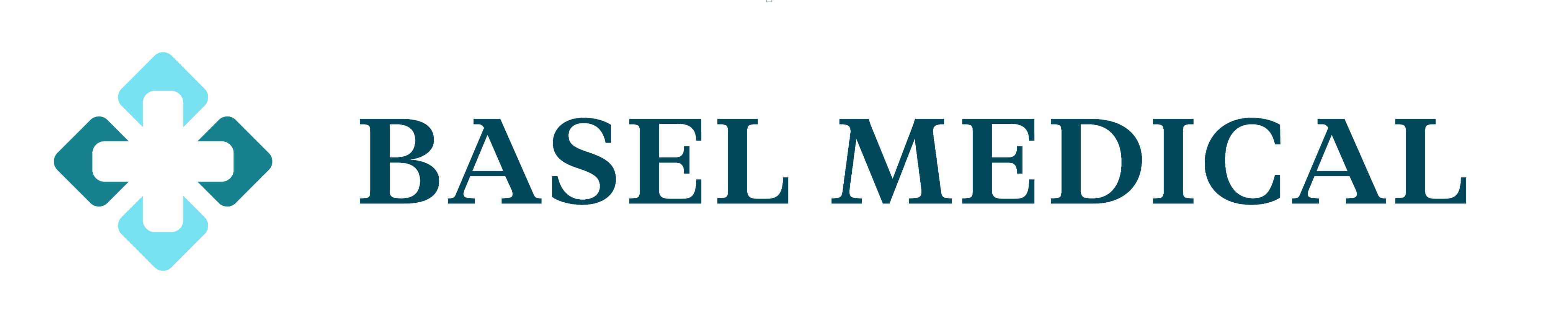 Basel Medical Group Ltd