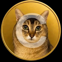 Cogecoin 图标