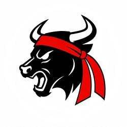 The Gamestop Bull Logo