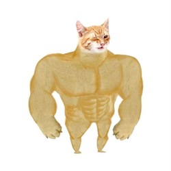 Buff Cat Logo