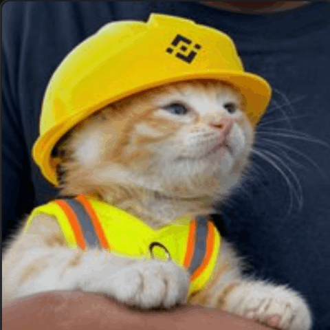 施工猫 Price Prediction