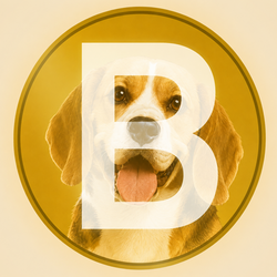 Beaglecoin (BEAGLE) Tokenomics