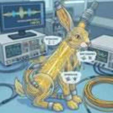 Quantum White Rabbit 图标