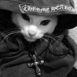 Prediksi Harga Chrome Cat