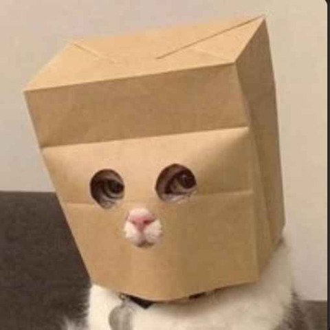 Anonymous Cat Logo