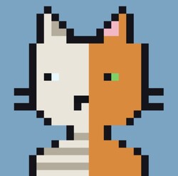 Quantum Cats 图标