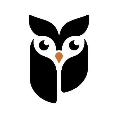 PFPai Logo
