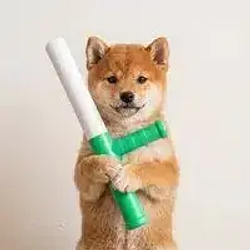 baton Price Prediction