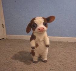 Logo Bitcoin Cow