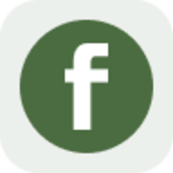 Fabrinet rStock Logo