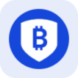 BitGo Holdings rStock (RBTGO) Tokenomics
