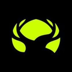 RobinSight Logo