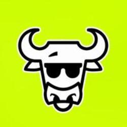 Logo The Bull