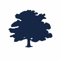 Prediksi Harga Forest Road USDfr
