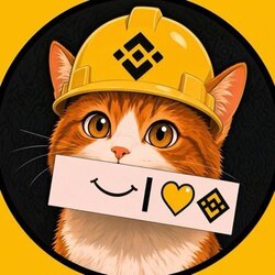 Binance Cat（BNBCAT）代币经济学