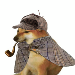 pipedog Price Prediction
