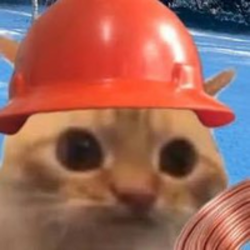 Copper Cat (COPCAT) Tokenomics
