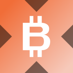 Logo Wrapped Bitmine xStock