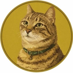 Logo GinnanCoin