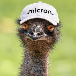 EMU Logo